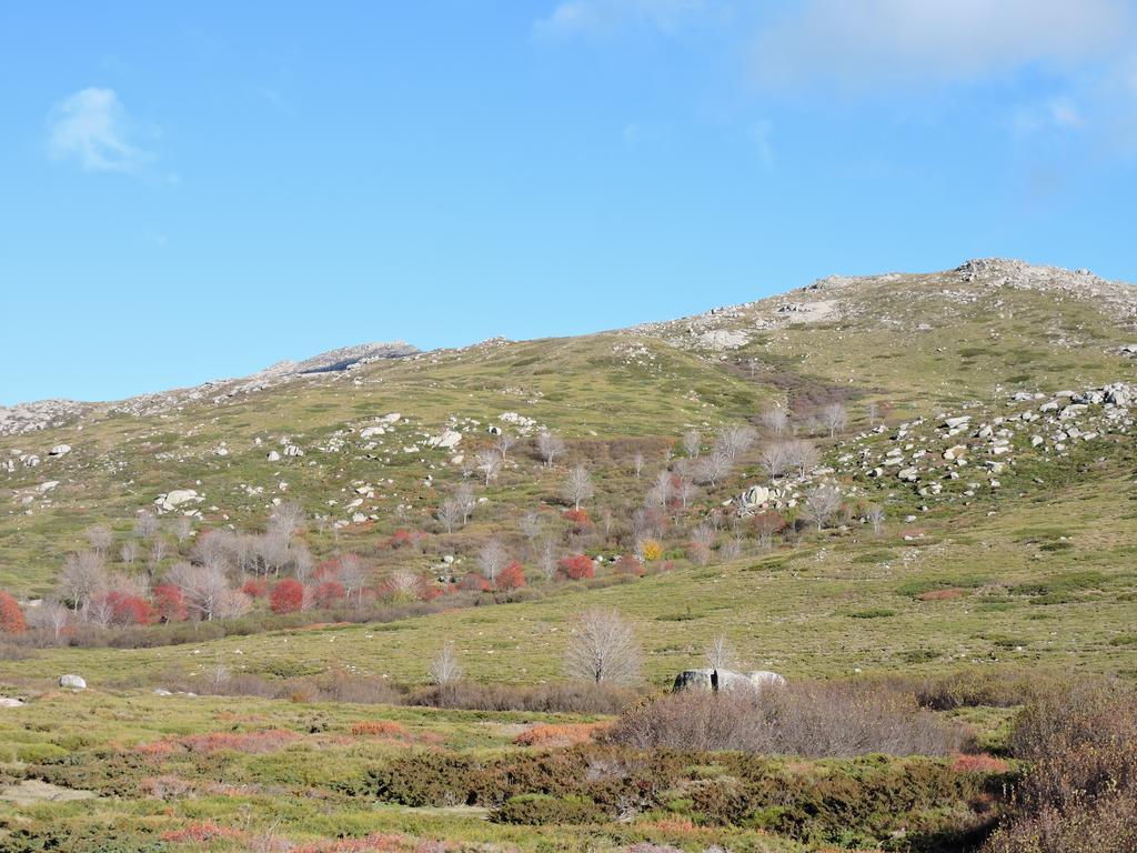 فندق Sole E Monti Quenza المظهر الخارجي الصورة