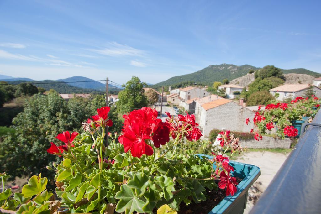 فندق Sole E Monti Quenza المظهر الخارجي الصورة