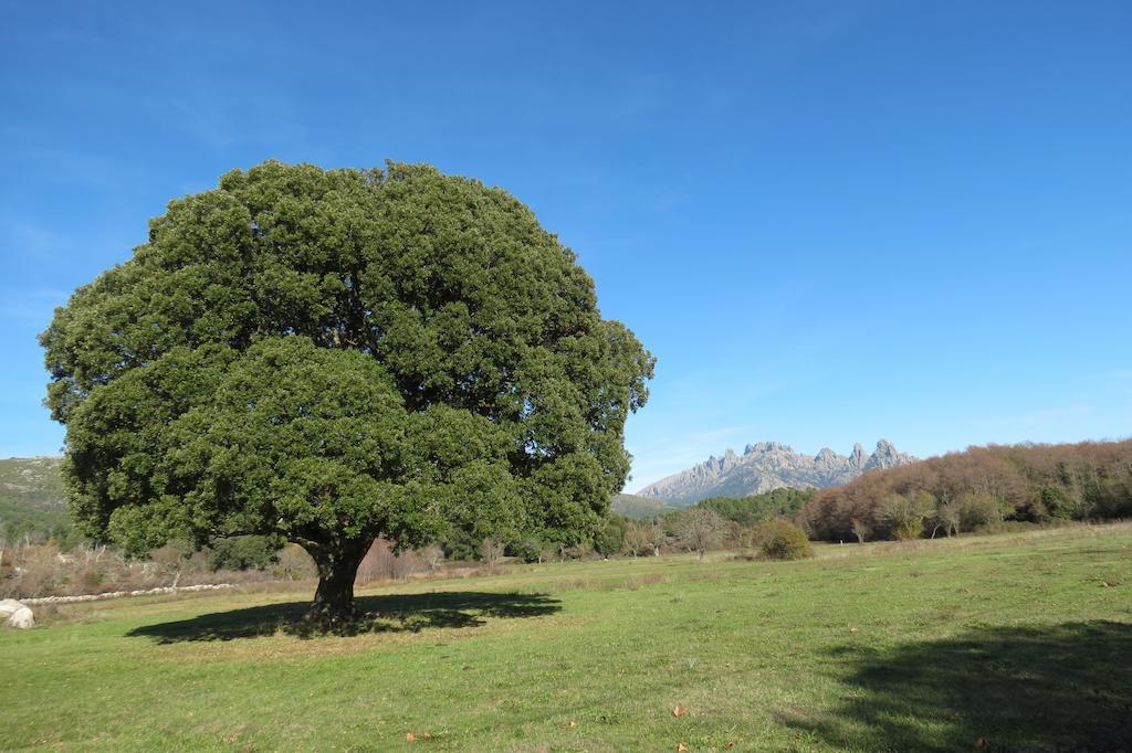 فندق Sole E Monti Quenza المظهر الخارجي الصورة